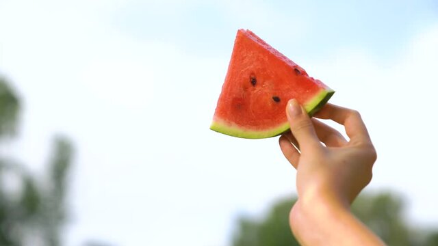 CU of pice of female hand with watermelon. Woman is showing ripe watermelon. Watermelon slice