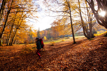 The woman hiker travels in the woods is looking around