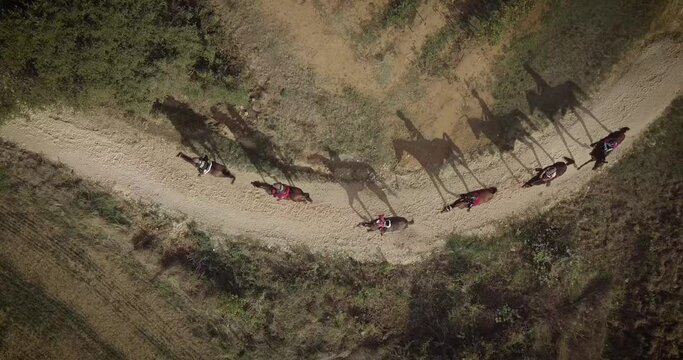Cavaliers sur de chevaux au galop dans le sud de la France en vue a&eacute;rienne