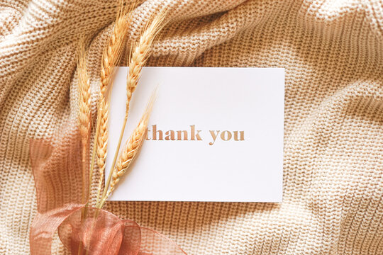 Thank you card on beige sweater with wheat stems and ribbon. Elegant feminine composition in natural light. Special thank you note.