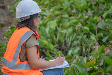 Environmental engineers work at the water storage plant, check the pH of the water, check the...