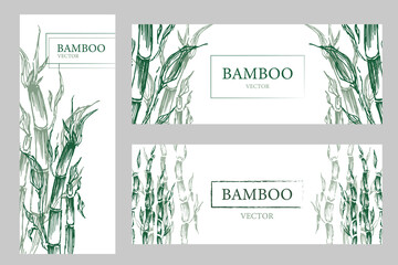 set three banners with green bamboo trees. Vector illustration Traditional Japanese. Bamboo flyer. Natural Tropical Plant Background