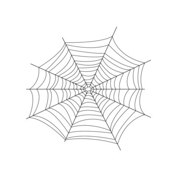 The image of the web. The net is a trap for insects. Spider web, a symbol of Halloween. Vector illustration isolated on a white background