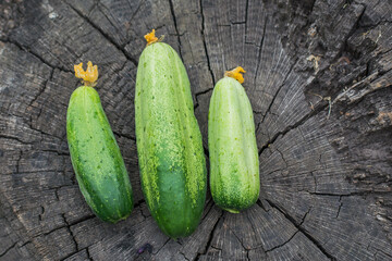 cucumbers on a wooden table