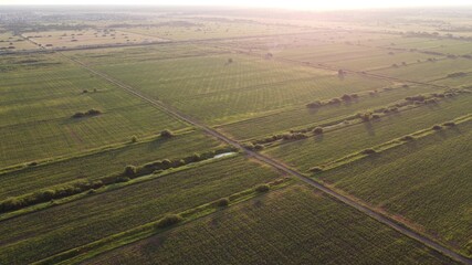 view of landscape