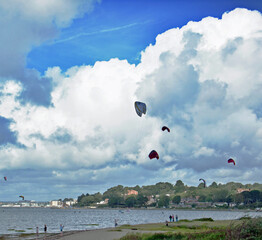 Kite on the beach
