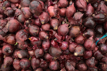 Red fresh onions on a shop counter