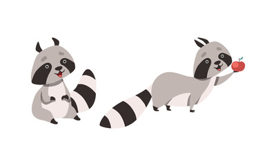 Funny Raccoon Animal Character with Striped Tail Sitting and Holding Apple Vector Set