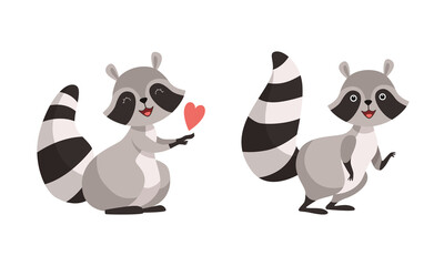 Funny Raccoon Animal Character with Striped Tail Tiptoeing and Holding Heart Vector Set