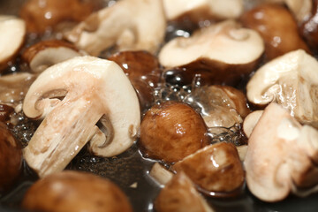Close-up of Frying Mushrooms. Delicious Vegeratian Diet.