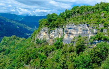 Fototapeta na wymiar gray-brown mountain cliffs close-up in summer among green plants