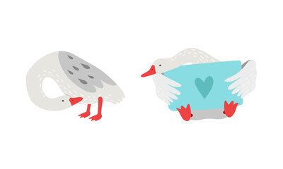 Grey Goose Character Sitting with Envelope Vector Set