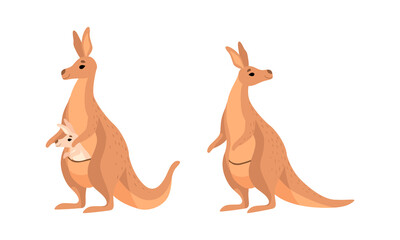 Brown Kangaroo Marsupial Animal with Powerful Hind Legs and Joey in Pouch Vector Set