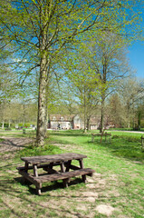 Springtime bench in the park
