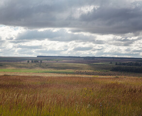 country rustic landscape, summer cloudy day