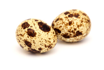 small speckled quail eggs isolated on white background