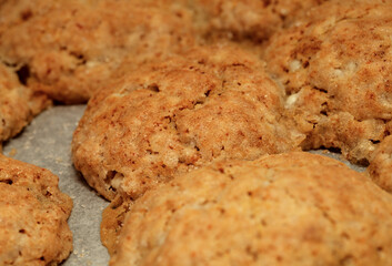 cottage cheese and  wholemeal flour cookies on a oven tray covered with paper