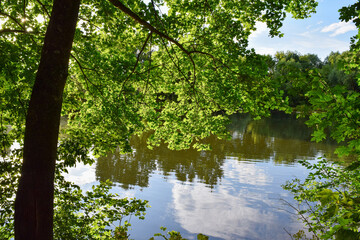 Fototapeta na wymiar Photo of a lake in the park of an old manor