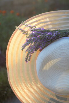 Summer hat over lavender flowers against sunlight

