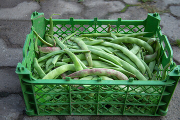 bunch of green beans in a wooden box