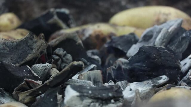 baked potatoes over charcoal on a fire, fried potatoes over a fire, food