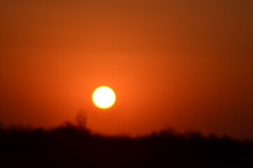 African savannah sunset