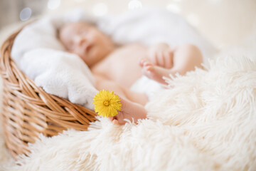 image of a dandelion flower on the leg of a newborn baby.