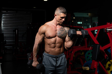Obraz na płótnie Canvas Man Working Out Biceps With Dumbbells