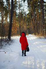 a series of photographs with a young woman in the winter forest. girl in a snowy park. in a red jacket. winter walk in nature. Cold season. Snowy Forest In Winter Day. back view