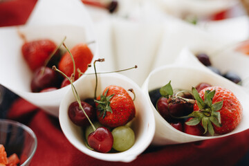 Beautifully decorated catering snacks and appetizers