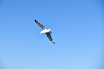 Beauté du ciel