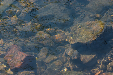 the rocky bottom of the creek can be seen through the clear water