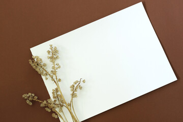 dry flowers with blank paper page