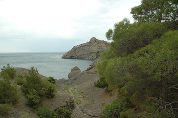 Fototapeta na wymiar Coastal rocks. Coniferous trees on the rocky coast. Rocky coast. The Golitsyn Trail. Crimea.