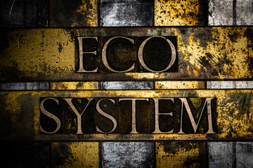 Eco System text on vintage textured copper and gold background