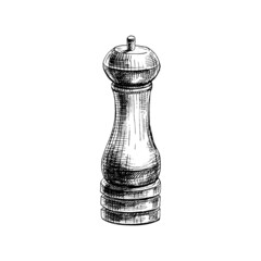 Wood pepper mill. Vector vintage hatching illustration. Isolated on white