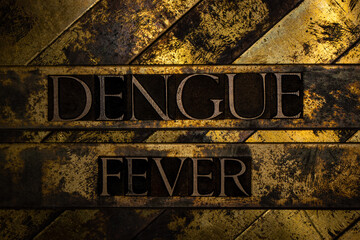 Dengue Fever text on vintage textured copper and gold background