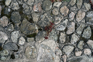 Stone pavement near the old castel in the province