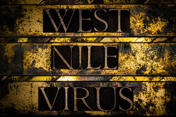 West Nile Virus text on textured grunge copper and vintage gold background