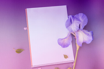 Empty white list with gentle iris