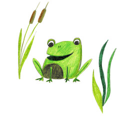 Cute cartoon illustration of a frog, on a white background
