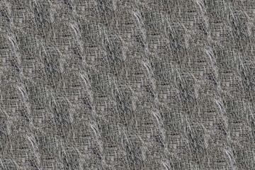 palm pattern texture structure backdrop