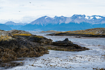 Lapataia bay landscape, Tierra del Fuego. Landscape of the Atlantic Ocean in Ushuaia, Argentina  landmark.
