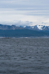 Lapataia bay landscape, Tierra del Fuego. Landscape of the Atlantic Ocean in Ushuaia, Argentina  landmark.