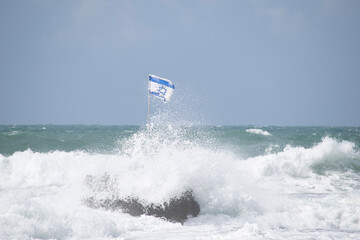 Naklejka premium kite surfing in the sea