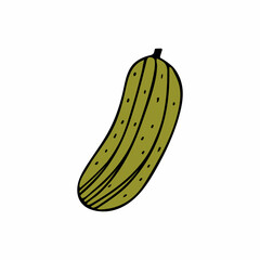 Colorful doodle cucumber illustration in vector. Colorful cucumber illustration in vector.