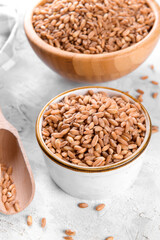 Wholegrain uncooked raw spelt farro in the bowls on grey stone table background, food cereal background, close up