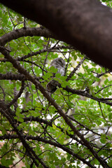 bird on a branch