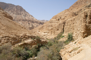 Fototapeta na wymiar canyon in the desert