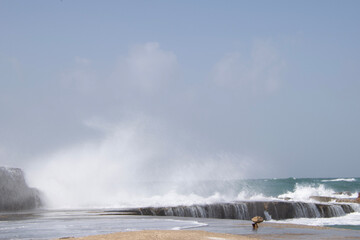 waves on the beach
